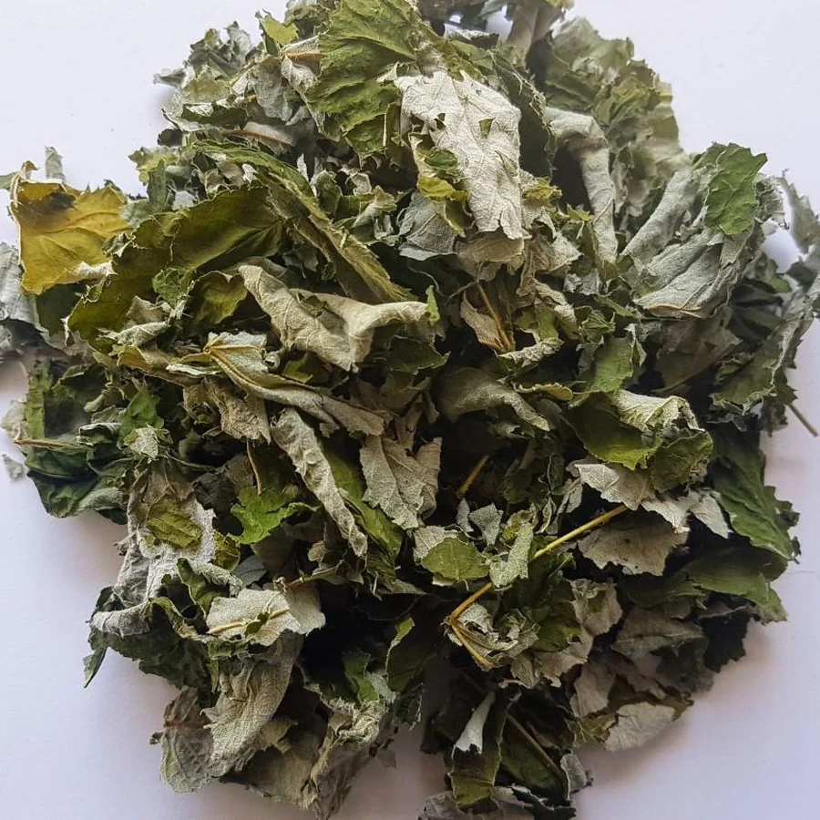 red-raspberry-leaves-Rubus-idaeus-850x850