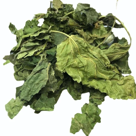 Mulberry Leaves - Image 2