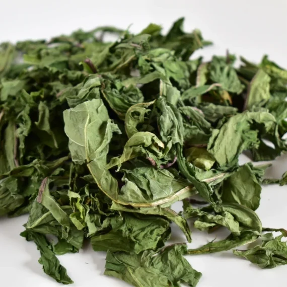 Dandelion Leaves - Image 2