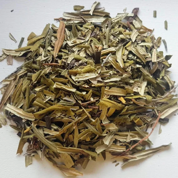 Sea Buckthorn Leaves - Image 2