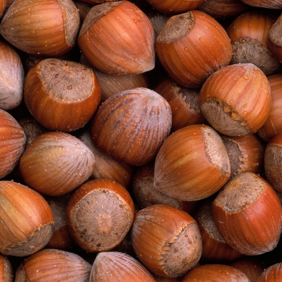 hazelnuts_3x2