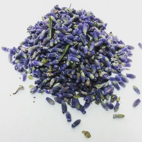 lavender-buds-500x500